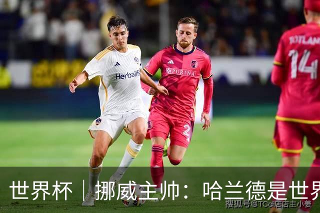 世界杯｜挪威主帅：哈兰德是世界上最好的射手